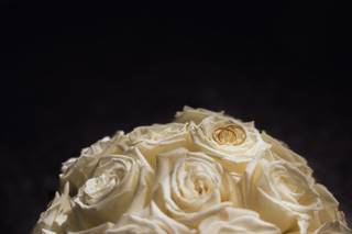 Nerine Arte Floral - 5