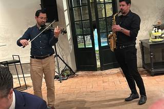 Dmviolin - 6