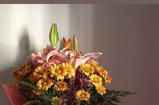 Tina Floristas - 29