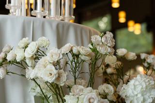 Betancourt Events - 5