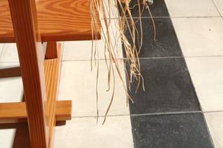 Floristería Ivars - 6