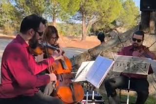 Cuarteto Nonamé - 5