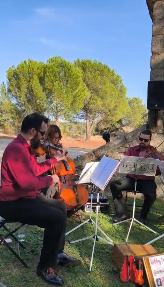 Cuarteto Nonamé - 2