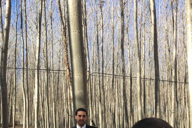 Aamaco Producciones 3