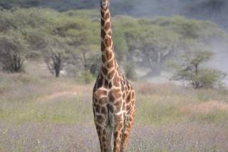 Kenya y Tanzania a tu medida - 7