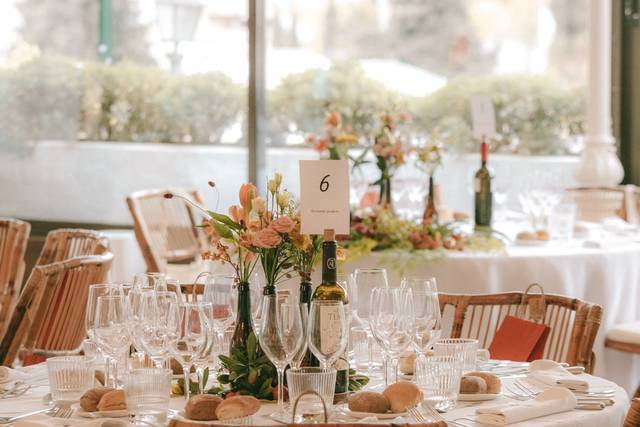 Bonsai Eventos 1