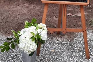 Cercis - Taller de Arte Vegetal - 9