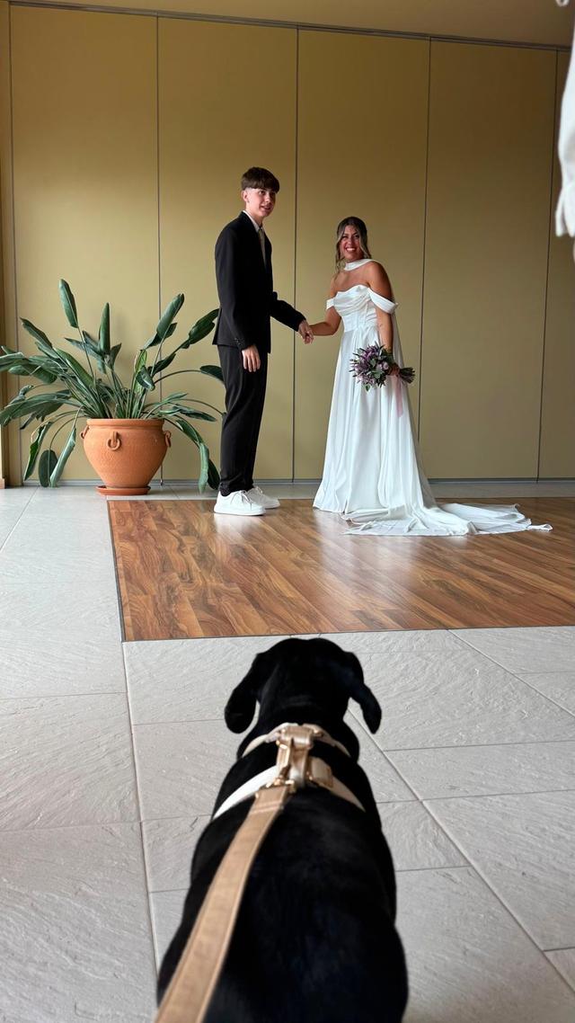 Kikao - Cuidadora de Mascotas - 1