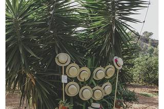 Señor y señora de - 9