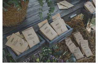 Señor y señora de - 10