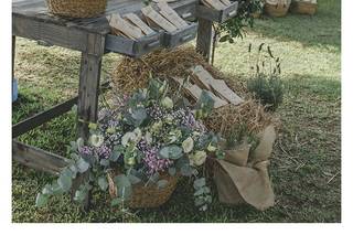 Señor y señora de - 11