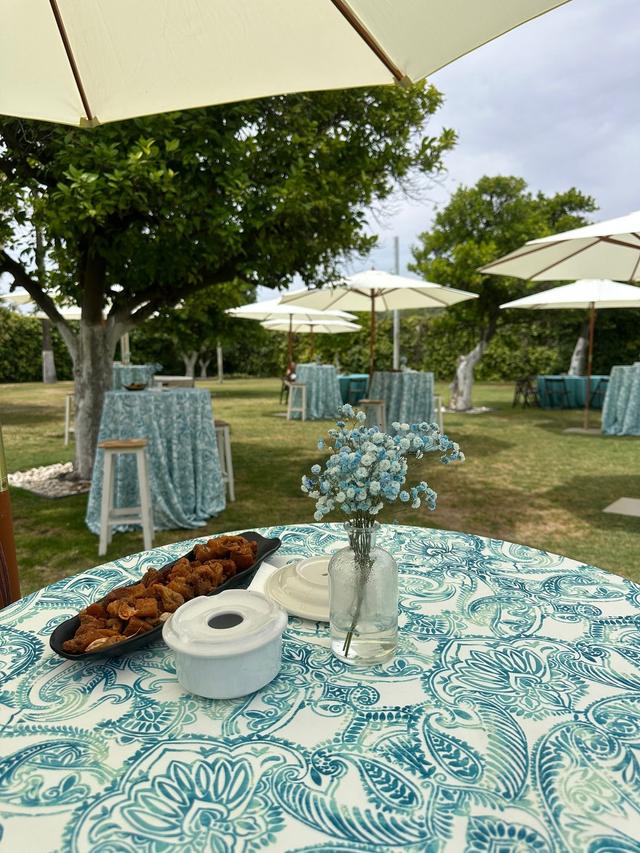 Hacienda Mejina - 2