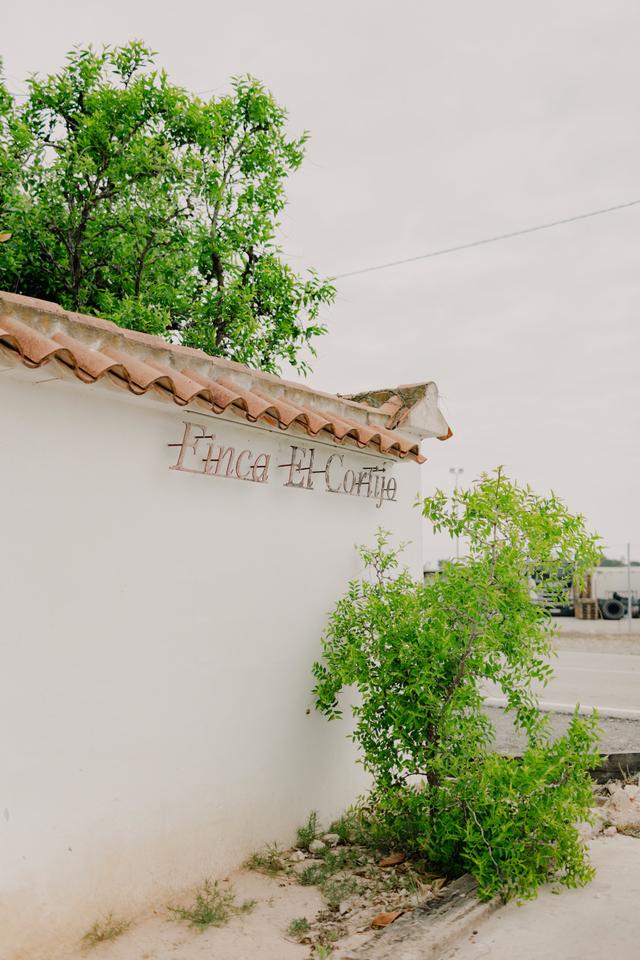 El Cortijo - 2