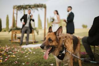 Momentos con Alma - 16