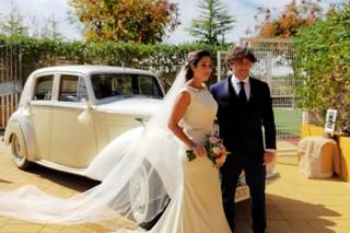 Loco Amor WP - 11