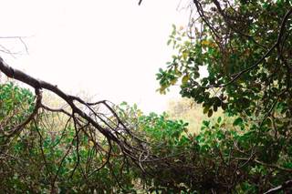 El Cortijo - 12