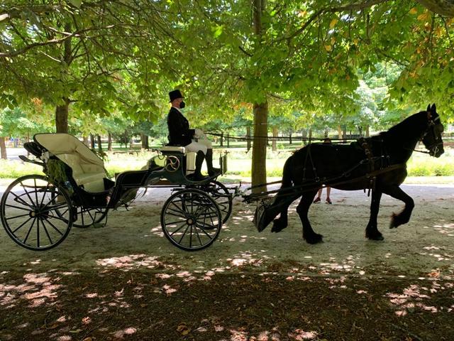La magia del caballo - 4