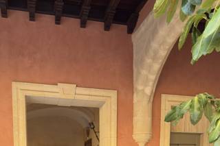 Dmviolin - 5
