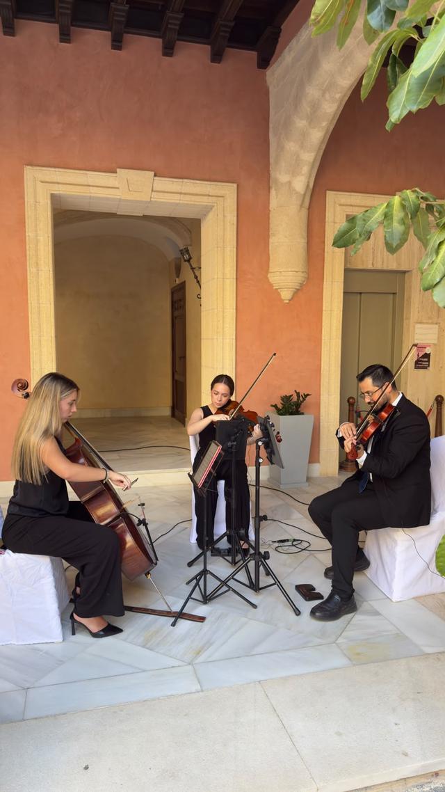 Dmviolin - 2