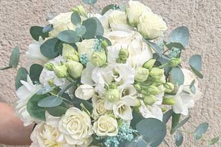 Flors Laguarda - 9