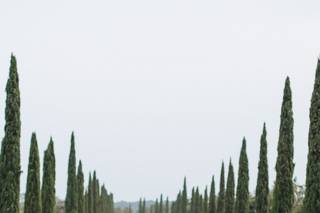 Saldecocó fotografía - 15