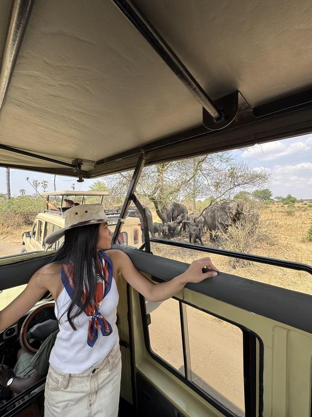 Destiny Winners - Safari and Tour - 2