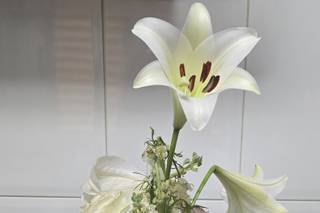 Entre hilos y flores - 8