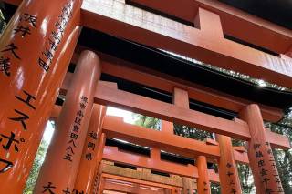 MoonlightTrips - 15