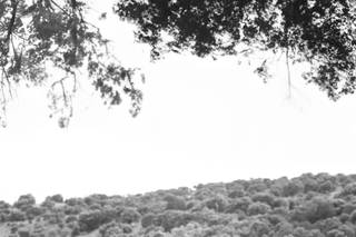 Óscar Izquierdo - 8