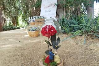 Floristería Barragán - 9