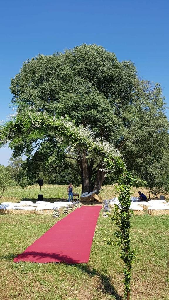 Jusgonna Wedding & Events - 2