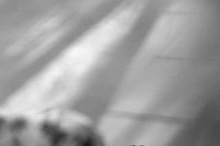 Vidigal Fotógrafo - 7