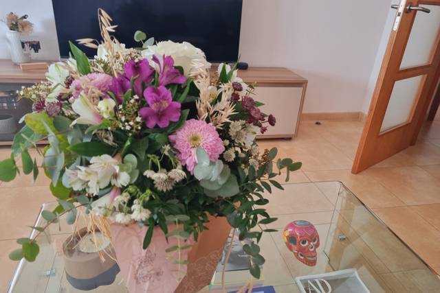 Abelia i Mel 5