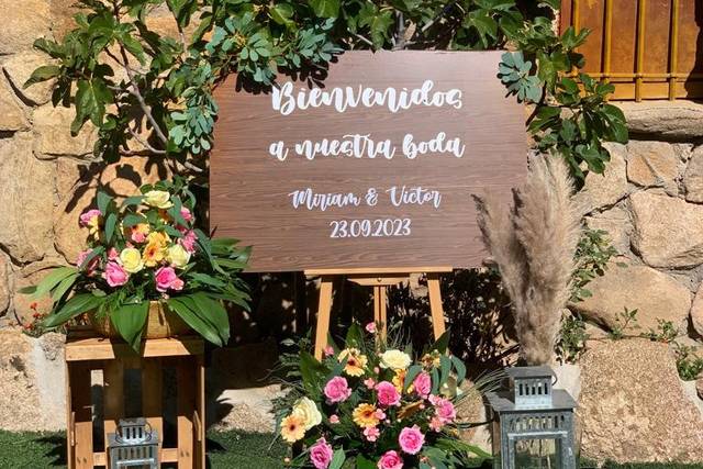 Vive tu sueño 4