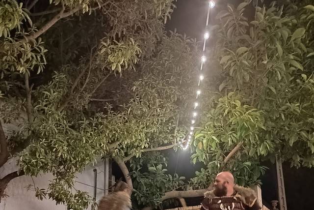 Tu boda temática 3