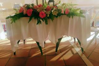 Floristería Encanto - 12