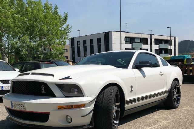 Zesna - Ford Mustang 3