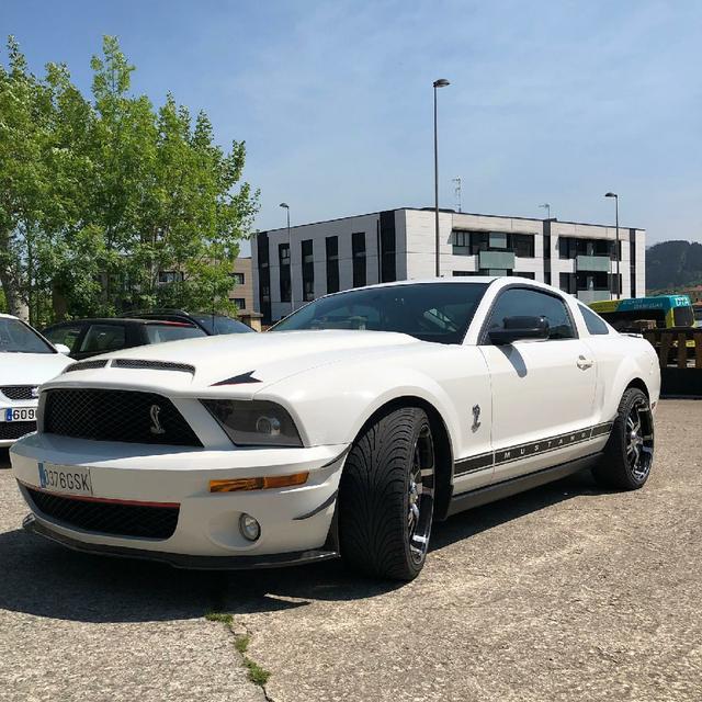 Zesna - Ford Mustang - 3