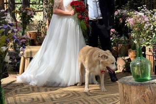 Marina Kronfeld Wedding Experience - 6