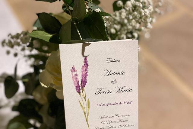 Bodas Densueño 2
