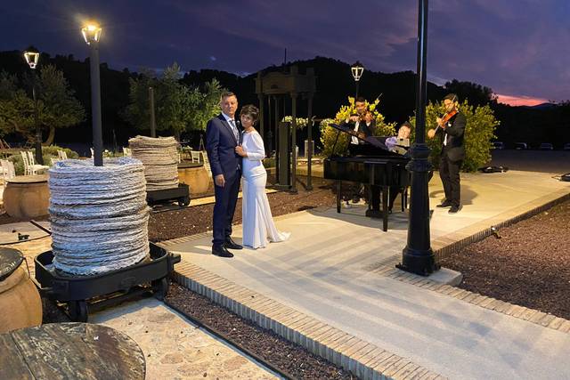 Bodas Densueño 4