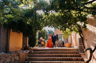 Dosterras Wine Garden - 8