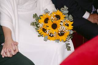 Flor de Holanda - 7