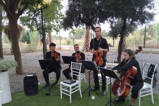 Cuarteto Alhamar - 1
