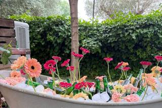 El Jardín Romántico - 5