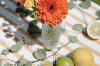 Mimosas Garden - 10