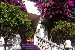 Grupo Zaka - Eventos & Catering - 15