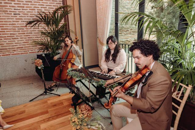 La Música de las Libélulas - 3