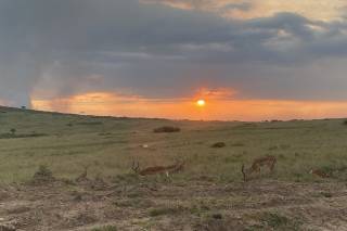 Postcardtravel - 6