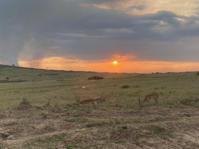 Postcardtravel - 3